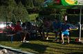 DSC_0383 (Kopiowanie)